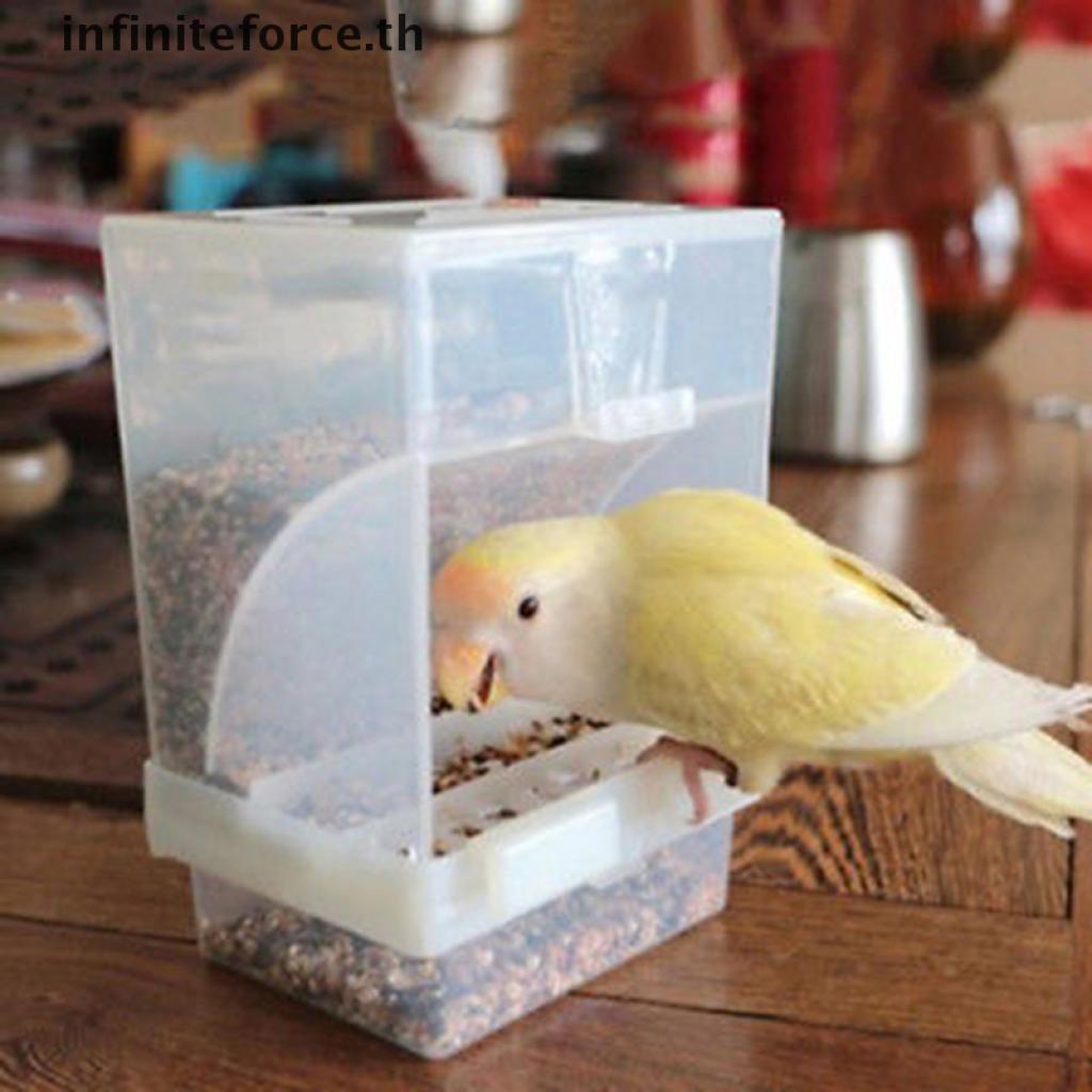 (Inth) กล่องให้อาหารนก แบบอะคริลิคอัตโนมัติ