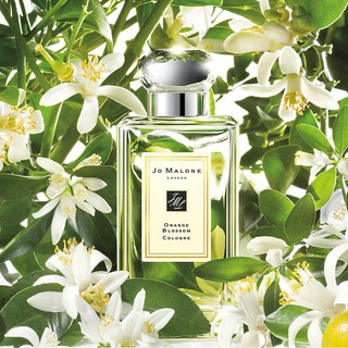 Jo Malone Orange Blossom น้ำหอมแท้ แบ่งขาย