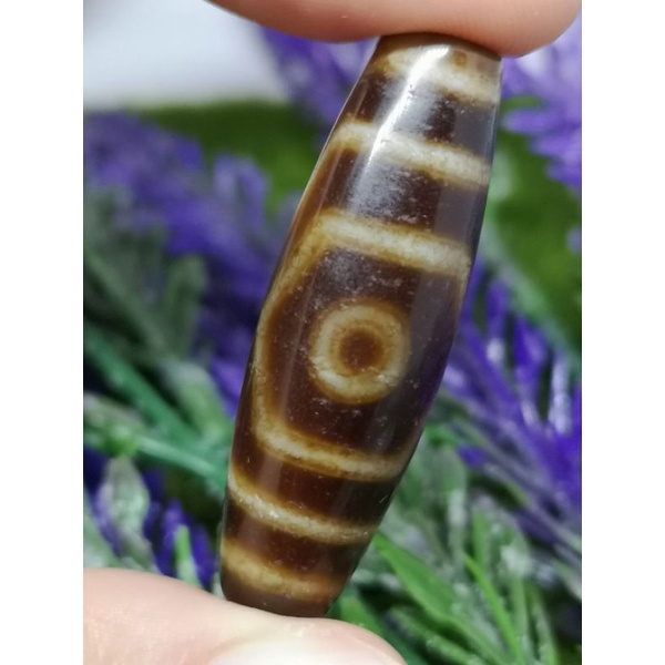 38.6mm X 12.3mm High Oil High Oil Three Eye Dzi 3 Eyed Dzi CW0643