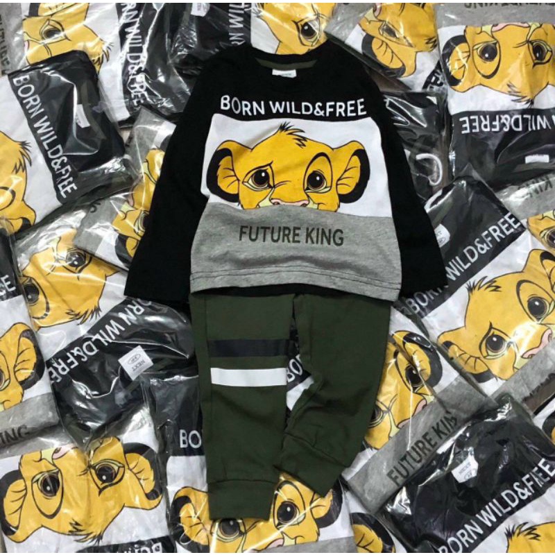 WILD SET สําหรับป้าย BABY BOYS HM