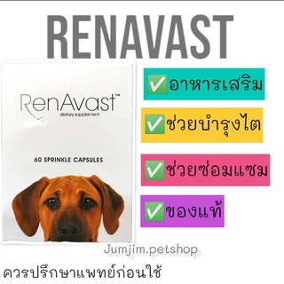 RenAvast DOG อาหารเสริม บำรุงไตสุนัข