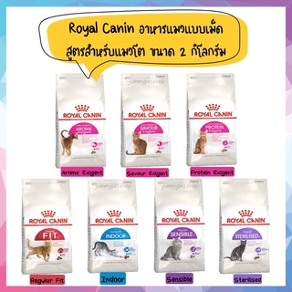 Royal Canin อาหารแมว ชนิดเม็ด สำหรับแมวโต ขนาด 2kg