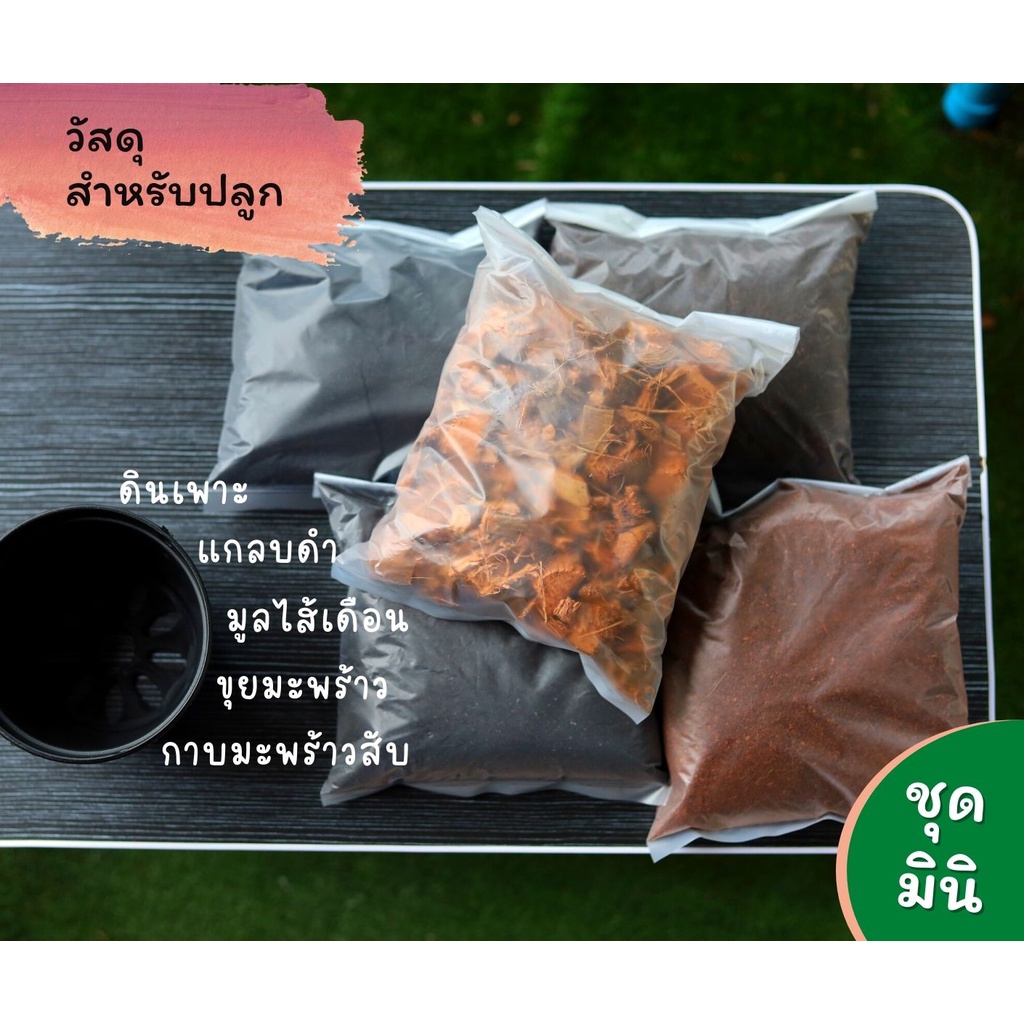 ขุยมะพร้าว ดิน แกลบดำ กาบมะพร้าว  ถุงเล็ก สำหรับใช้น้อย วัสดุปลูกต้นไม้ ผักสวน ราคาย่อมเยาว์