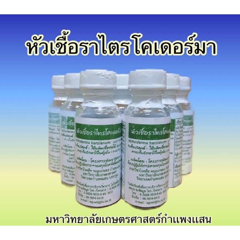 💥เก็บโค้ดหน้าร้าน ลด 50.-💥หัวเชื้อราไตรโคเดอร์มา สินค้า ม.เกษตรศาสตร์ กำแพงแสน (ขยายเชื้อได้) ขนาด 2