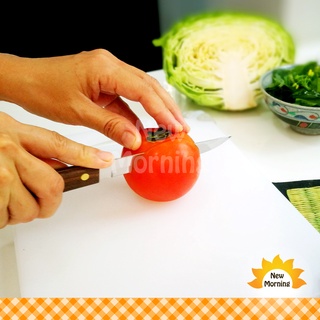 Penguin Stainless Steel Paring Knife มีดปอกผลไม้ด้ามไม้ ใบมีด 4 3/4 นิ้ว