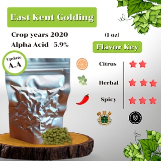 East Kent Goldings Hops (1oz) Crop years 2020 (บรรจุด้วยระบบสูญญากาศ)