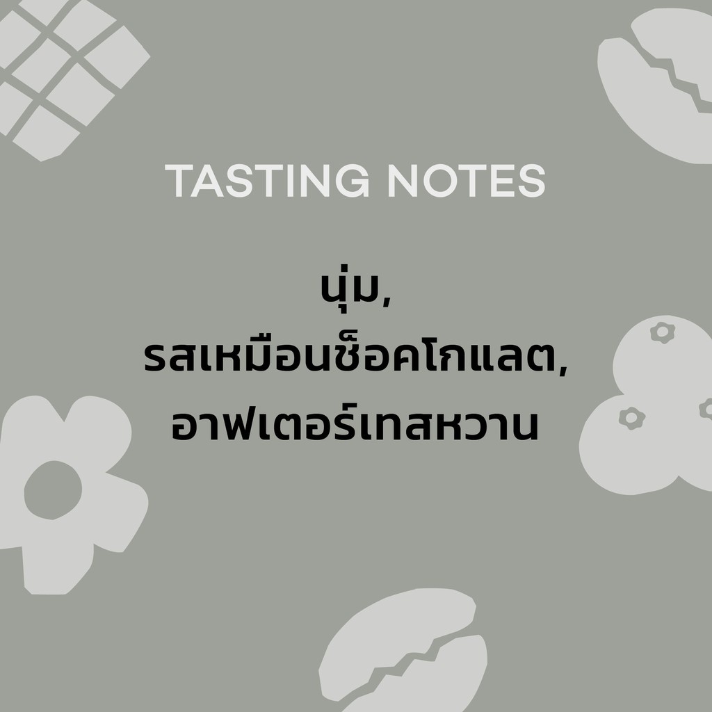 ♘△❅Roots Coffee เมล็ดกาแฟ Aftersweet Blend ขนาด 250g คั่วระดับกลางเกือบเข้ม เหมาะสำหรับชงด้วยเครื่อง