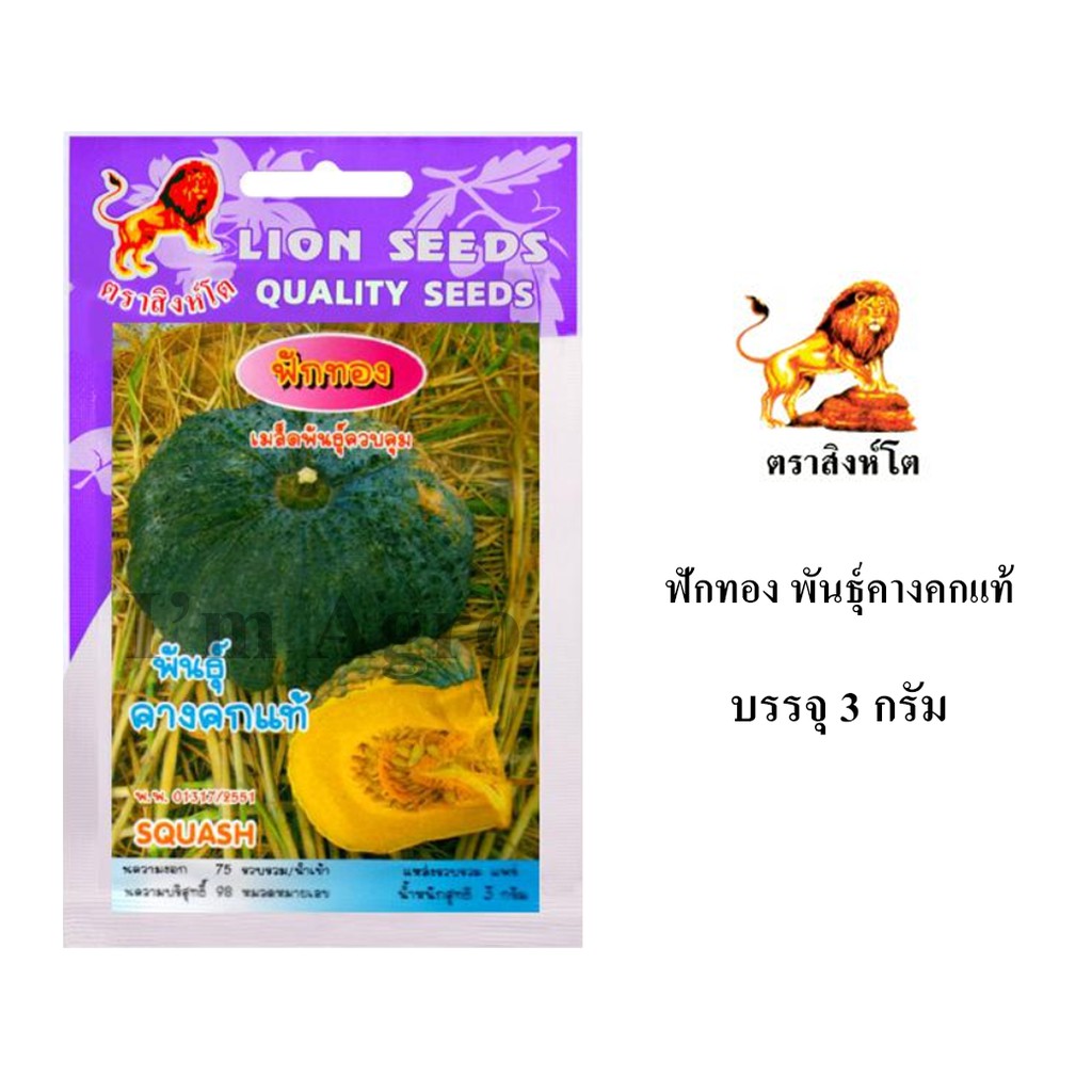 My Image 16