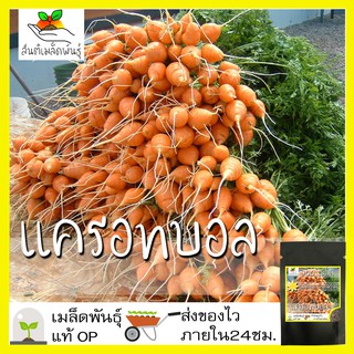 เมล็ดพันธุ์ แครอทกลม แครอทบอล 400 เมล็ด Parisian Carrot Seed เมล็ดพันธุ์แท้100% นำเข้าจากต่างประเทศ ปลูกผัก สวนครัว ถูก