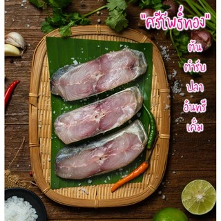 ปลาอินทรีเค็มแพ็คซีลสุญญากาศ 4 ชิ้นหนา (200 กรัม) สูตรเค็มน้อย จากชาวประมงโดยตรง