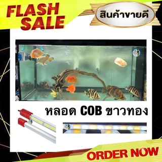 (รับประกันหลอดแตก) หลอดไฟปลามังกรทอง รุ่นCOB ขาว-ทอง ขนาด 150 cm. สำหรับตู้ 60 นิ้ว