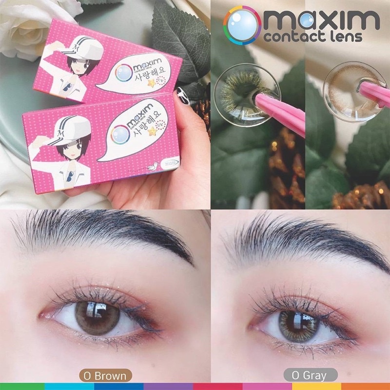 กล่องชมพู ตาหวาน O สีเทา สีน้ำตาล Gray Brown คอนแทคเลนส์ Maxim -0.75 -10.00 สายตาสั้น รายเดือน โอ