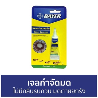 🔥แพ็ค6🔥 เจลกำจัดมด Bayer ไม่มีกลิ่นรบกวน มดตายยกรัง Quantum - กําจัดมด ยากําจัดมด กําจัดมดตายยกรัง เหยื่อกำจัดมด