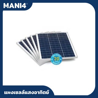 904-6137, 45W Monocrystalline solar panel