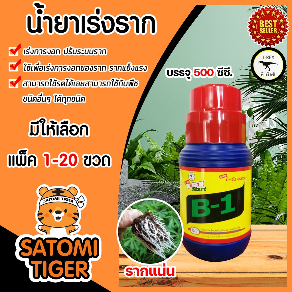 น้ำยาเร่งราก วิตามินบี-1 B1 ขนาด 500 ซีซี  ทีเร็กซ์ บีวัน-สตาร์ท เร่งราก ช่วยให้พืชแตกรากได้ดี