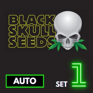 🔥Preorder🔥เมล็ดค่าย🌱Balckskull Seeds🌱Auto⭐️ส่งฟรี🚨มีปลายทาง ส่งตรงจากนอกแท้100%⭐️ยกแพค/แยกเมล็ด⭐️อย่าเสี่ยงกับเมล็ดไม่มีที่มา#1