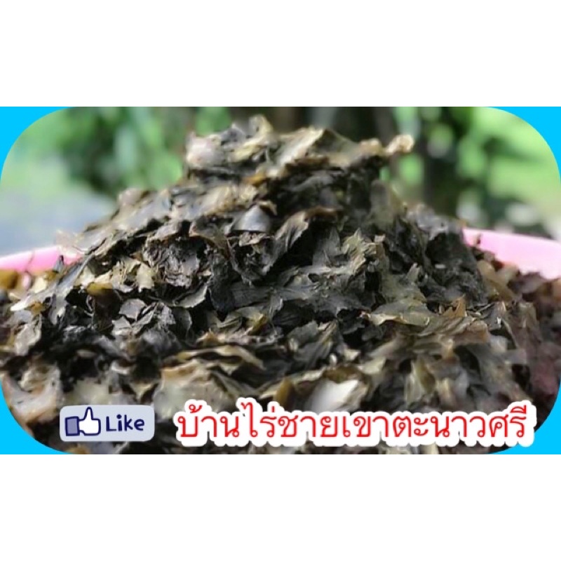 ยอดอ่อน/ใบอ่อน ขี้เหล็กต้มตากแห้ง พร้อมทาน