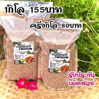 ถูกสุดโล 155฿‼️ สาคูต้นพัทลุงแท้100% (รับประกันเม็ดสวย) เจ้าดังในตำนาน เกรดพรีเมี่ยม รีวิวยืนยันความปัง✅