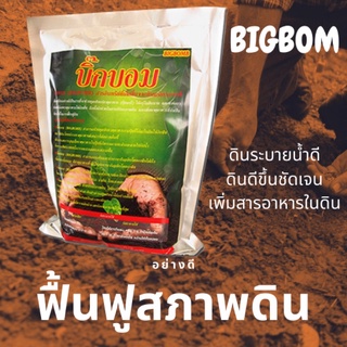 KOKOMAX บิ๊ก-บอม สารฟื้นฟูดิน ดินดี