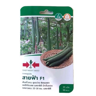 บวบหอม สายฟ้า ตราศรแดง 25เมล็ด เมล็ดพันธุ์บวบ