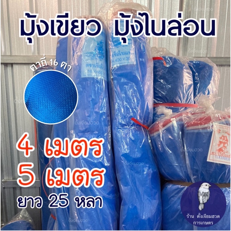 My Image 26