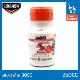 Chaindrite เชนไดร้ท์ สเตดฟาส 30 เอสซี น้ำยากำจัดปลวก แมลง แบบเข้มข้น ชนิดผสมน้ำราดพื้น 250 cc
