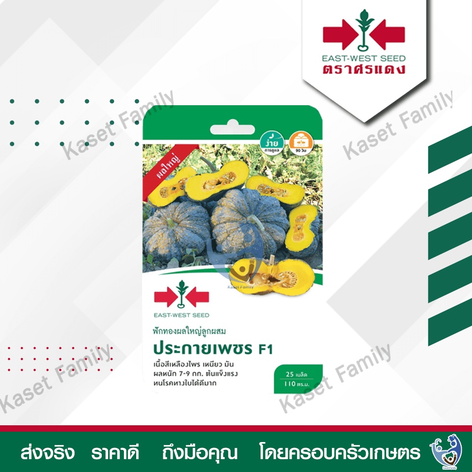 ผักซอง ฟักทอง ประกายเพชร  20 เมล็ด เมล็ดฟักทอง ตราศรแดง ราคาถูก Shopee Lazada