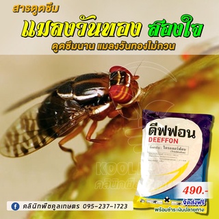 ดีฟฟอน 1กิโลกรัม สารกำจัดแมลงวันทอง ใช้ฉีดพ่นฆ่าแมลงวันทองไม่มีกลิ่นฉุน ออกฤทธิ์ สัมผัส ดูดซึม ไอระเหยคูลเกษตรKl9