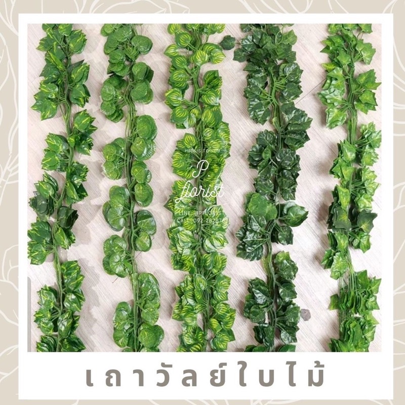 พร้อมส่ง เถาวัลย์ใบไม้ ยาว 200-230 ซม. ใบไม้เส้น ใบไม้ปลอม ตกแต่งบ้าน พลูด่างปลอม ดอกไม้ตกแต่งบ้าน DIY