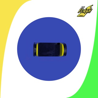 สมดุลสมอแม่เหล็ก****