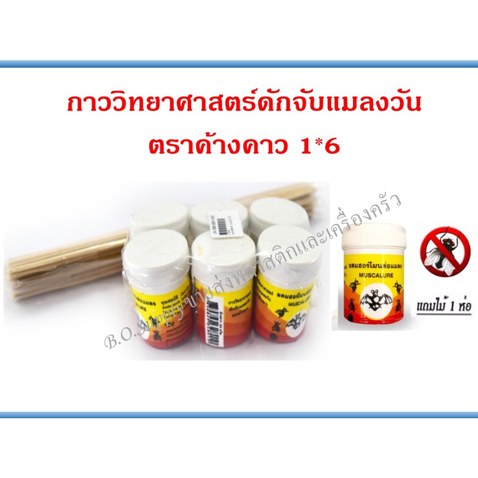 กาวแมลงวัน กาววิทยาศาสตร์ ผสมฮอร์โมนล่อแมลง ตราค้างคาว(1เเพ็ค มี 6 ขวด)