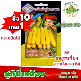 (ซื้อ10แถม1) เมล็ดพันธุ์ ซูกินี เหลือง yellow Zucchini ประมาณ 10เมล็ด 3A สามเอ ซูกินี่ ผักสวนครัว เมล็ดพันธุ์พืช