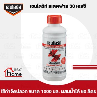 CHAINDRITE เชนไดร้ท์ สเตดฟาส 30 เอสซี กำจัดปลวด