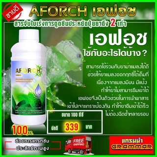 เอฟอช Aforch สารจับใบ ชนิดเร่งดูดซึมไว ของแท้ 100% { ส่งฟรี เก็บเงินปลายทาง }