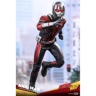 ฟิกเกอร์ ของสะสม Hot Toys MMS497 ANT-MAN AND THE WASP - ANT-MAN