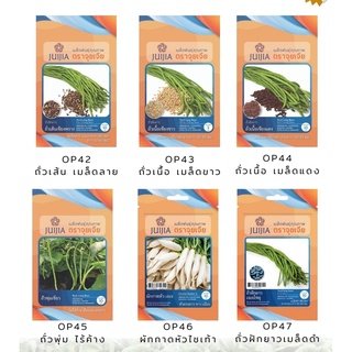 เมล็ดพันธ์ุผักสวนครัว ชุด6 (หมดอายุปี 2567) ถุงซิบล๊อค เมล็ดพันธุ์ เมล็ดผัก เมล็ดพันธุ์ผัก เมล็ดดอกไม้ เมล็ดพันธุ์ดอกไม้