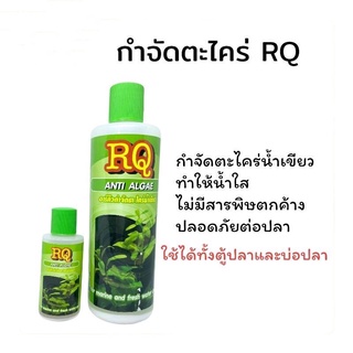 ส่งไว! RQ ANTI ALGAE ขนาด 30 200 500 1000 มิล ml. อาร์คิว กำจัดตะไคร่น้ำเขียว ราคาพิเศษ Promotion Price ของแท้ คุณภาพ