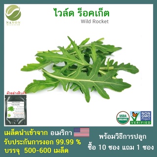 เมล็ดไวล์ด ร็อคเก็ต (Wild Rocket)จำนวน 500-600 เมล็ด