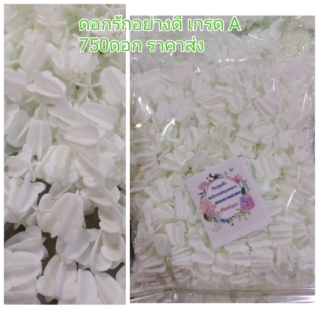 ดอกรัก ดอกรักปลอมสีขาวอมเขียวเสมือนจริง (ดอกรักอย่างดี 750 ดอก ราคาแค่ 69 บาท) พร้อมส่ง เกรดA สวยทุกดอกมีรูร้อยง่าย