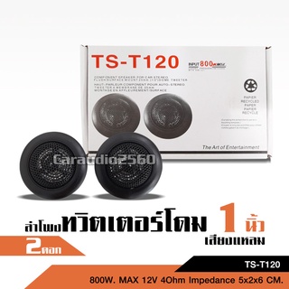 เสียงกลางแหลม/ดอกขนาด1นิ้ว DomeTweeter TS-T120 800W max