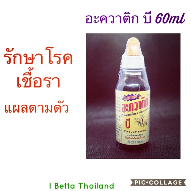 อะควาติก บี Aquatic B 60ml. | Shopee Thailand