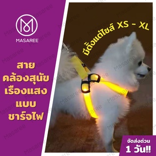 สายคล้องคอสุนัขส่องสว่างสุนัข มีไฟ LED (ชาร์จไฟได้) แจ้งสีในแชท