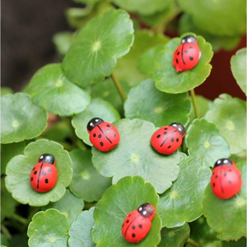 100 ชิ้น/เซ็ต Mini Ladybird เครื่องประดับ Fairy Garden ตกแต่ง