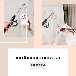 ของเล่นคันเบ็ดตกปลาน้องแมว