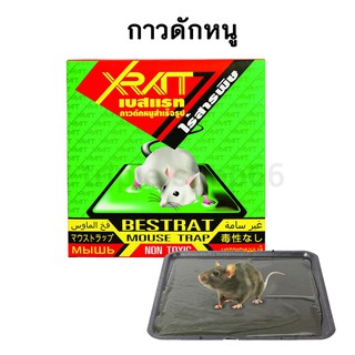 แบบถาด กาวดักหนู ถาดกาวดักหนู best rat mouse trap 1 กล่องบรรจุ 2 ชิ้น