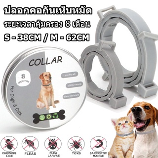 Flea and tick collar ปลอกคอกันเห็บ ปลอกคอกันเห็บหมัด ปอกคอกันเห็บหมา ทนนาน 8 เดือน สำหรับสุนัข แมว