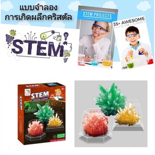 STEM Crystal Science ชุดแบบจำลองการเกิดผลึกคริสตัล