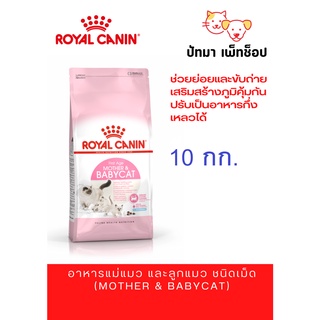 Royal Canin อาหารแมว สูตร Babycat &amp; Mother 10 กก.