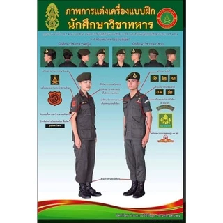 หมวกเบเร่ต์ เขียวขี้ม้า รด. นศท. [นักศึกษาวิชาทหาร] หมวก ร.ด.นักศึกษาฝึกงาน/เครื่องแบบ ถุงเท้า