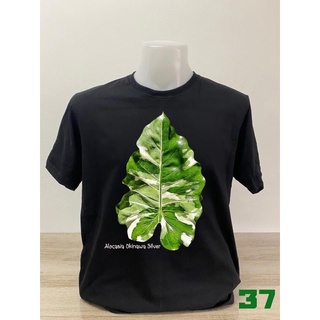 เสื้อยืดคอตตอนลายบอนสีแบบที่37